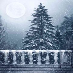 Cedarwood Photography Scenery Backdrop Balcony Landscape Theme Banner EHY-167