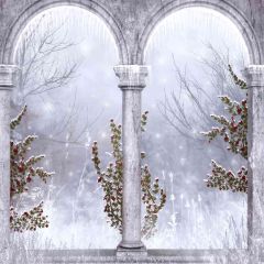 Indomitable Rose Photography Scenery Backdrop Arches or Pillars Theme Banner EHY-169