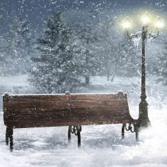 Snowy Night Photography Scenery Backdrop Snow Theme Banner EHY-171