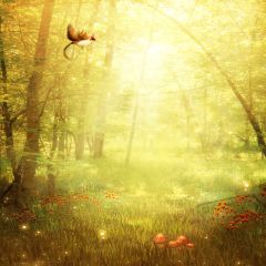 All Things Wake Up Photography Scenery Backdrop Autumn Theme Banner EHY-177
