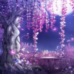 In The Moonlight Photography Scenery Backdrop Night Theme Banner EHY-188