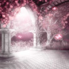 Fairyland Photography Scenery Backdrop Arches or Pillars Theme Banner EHY-189