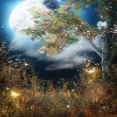 Wide-Spreading Photography Scenery Backdrop Autumn Theme Banner EHY-192