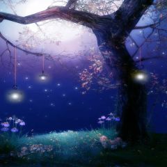 Ancient Trees Photography Scenery Backdrop Night Theme Banner EHY-196