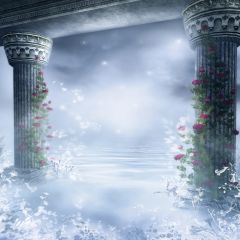 Dreamland Photography Scenery Backdrop Arches or Pillars Theme Banner EHY-201