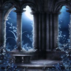 Lonely Night Photography Scenery Backdrop Arches or Pillars Theme Banner EHY-435