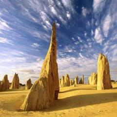 Desert Wind Fossils Photography Scenery Backdrop Desert Landscape Theme Banner EHY-472