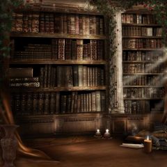 Beautiful Retro Bookshelf Photography Scenery Backdrop Bookshelf Theme Banner EHY-481