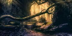 Tree Sunshine Grass Stage Performance Background Dance Show Backdrop SRB-0923