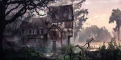 House Tree River Plant Stage Performance Background Dance Show Backdrop SRB-0925