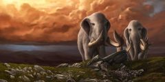 Elephant Grass Stone Cloud Stage Performance Background Dance Show Backdrop SRB-0979