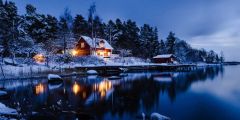 Cabin Water Light Tree Stage Performance Background Dance Show Backdrop SRB-1019