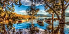 Tree Grass Boat Water Stage Performance Background Dance Show Backdrop SRB-1021