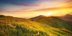 Grass Flower Sunset Stage Performance Background Dance Show Backdrop SRB-1040