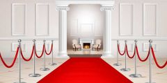 Carpet Pillar Fireplace Stage Performance Background Dance Show Backdrop SRB-1091