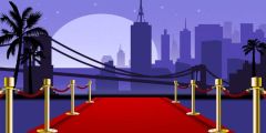 Pillar Carpet Stage Performance Background Dance Show Backdrop SRB-1133
