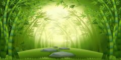 Tree Grass Rock Stage Performance Background Dance Show Backdrop SRB-1166