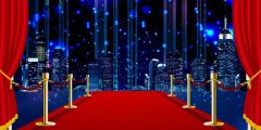 Carpet Pillar Stage Performance Background Dance Show Backdrop SRB-1192