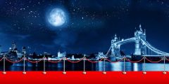 Moon Carpet Stage Performance Background Dance Show Backdrop SRB-1207