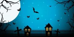 House Bird Bat Stage Performance Background Dance Show Backdrop SRB-1249
