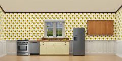 Beautiful Kitchen Stage Performance Background Dance Show Backdrop SRC-0055