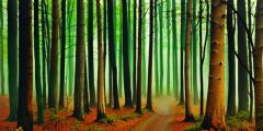 Woods Forest Path Stage Performance Background Dance Show Backdrop SRC-0162