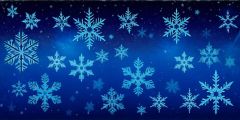 Frozen Snowflake Stage Performance Background Dance Show Backdrop SRC-0220