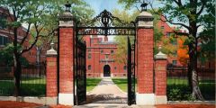 University Gate Door Brick Wall Stage Performance Background Dance Show Backdrop SRC-0265