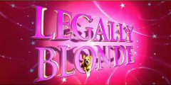 Stars Text Lying Dog Stage Performance Background Dance Show Backdrop SRC-0267