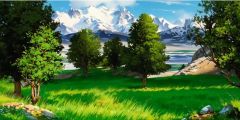 Snow Mountains Trees Stage Performance Background Dance Show Backdrop SRC-0307
