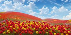 Truffula Field Flowers Clouds Stage Performance Background Dance Show Backdrop SRC-0327