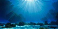 Seabed Seaweed Light Stage Performance Background Dance Show Backdrop SRC-0355