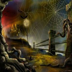 Terrible Night Photography Scenery Backdrop Halloween Theme Banner YMY-023