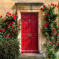 Beautiful Gate Photography Scenery Backdrop Door Theme Banner YMY-029
