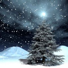 Christmas Flying Snow Photography Scenery Backdrop Snow Theme Banner YMY-113