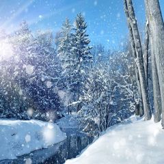 Mountain River Photography Scenery Backdrop Snow Theme Banner YMY-114