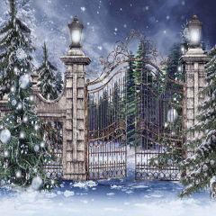 Snowy Night Photography Scenery Backdrop Snow Theme Banner YMY-141