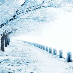 Snowy World Photography Scenery Backdrop Snow Theme Banner YMY-175