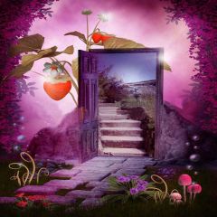 Fairy Tale World Photography Scenery Backdrop Fantasy Theme Banner YMY-189
