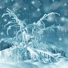 Pure Accumulated Snow Photography Scenery Backdrop Snow Theme Banner YMY-192