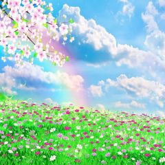 Romantic Flowers Photography Scenery Backdrop Flowers Theme Banner YMY-251
