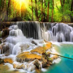 Beautiful Spring Photography Scenery Backdrop Nature Theme Banner YMY-291