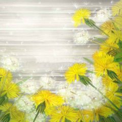 Vibrant Flowers Photography Scenery Backdrop Flowers Theme Banner YMY-293