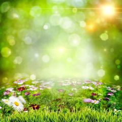 Fantasy Flowers Photography Scenery Backdrop Flowers Theme Banner YMY-300