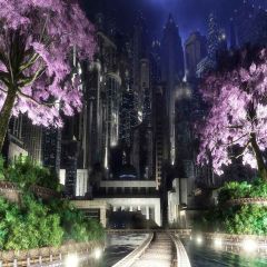 Charming Night Photography Scenery Backdrop Architectural Theme Banner YMY-345