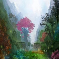 Misty Forest Photography Scenery Backdrop Forest Theme Banner YMY-378