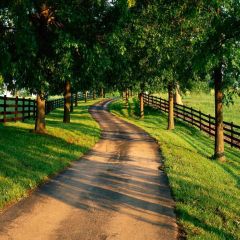 Rural Road Photography Scenery Backdrop Road Theme Banner YMY-393