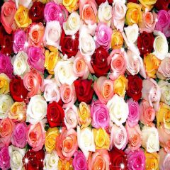 Romantic Flowers Photography Scenery Backdrop Flowers Theme Banner YMY-394