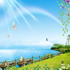 Sea Coast Photography Scenery Backdrop Nature Theme Banner YMY-410