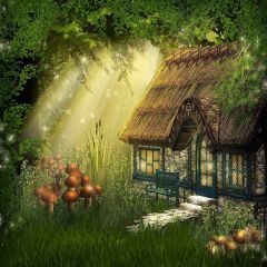Forest Cabin Photography Scenery Backdrop Housing Theme Banner YMY-417